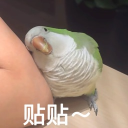 sanmao0714