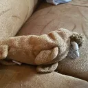 derekblainecardona avatar