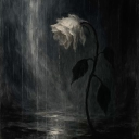 avatar Morphine 🌹