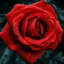 kattyc.__84142 avatar