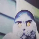 turboggetto