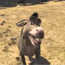 notnumbo