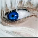 reidoiphone