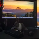 v0lt0re
