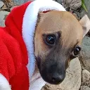 migue2012plancarte avatar