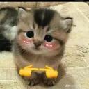 damianito0843_88989 avatar