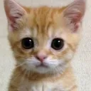 valentino07608 avatar