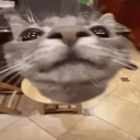 avatar 𝔥𝟛𝔫𝔯.𝔵