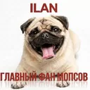 ilan00544