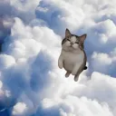 trinoo1111_
