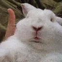 hugogrowagarden avatar