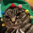 doctorowchies
