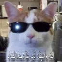 abdo980621