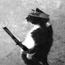 vivacious_lynx_84555 avatar