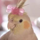 liruj