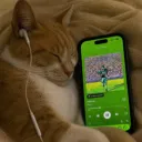 .vpolly