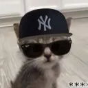 therealhalt_