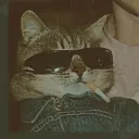 d_xk. avatar