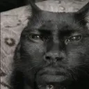 masterwallywest avatar