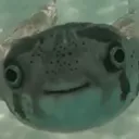 depe_fr