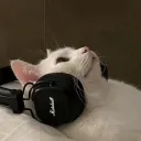 sunnyboi_gt
