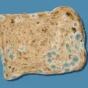 geraldsfourbeta avatar