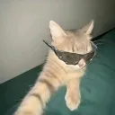 marcelektoboss