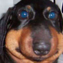 gorbqrioes