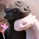 4dkji5zhwtvv