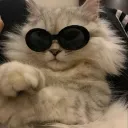 nghiadatoi._05134 avatar