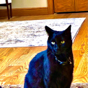 user_tuwgskdasc2efe2i member profile picture