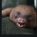 lukario_777122144fc2 avatar