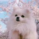 𝓦𝓸𝓻𝓴𝓮𝓭