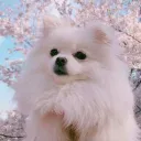 𝓦𝓸𝓻𝓴𝓮𝓭