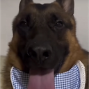 B_M_V_D member profile picture