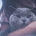 sterniilisa's Avatar