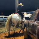 avatar 𝑑𝑜𝑚𝑝𝑒