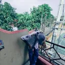 radmf211_48625 avatar