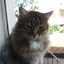 dieghitos._.