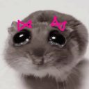 avatar ilovewingstop ✿