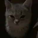 perkyypill