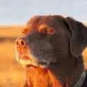 wazaaass_70892 avatar