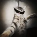 megaturot
