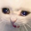 aaaaa000459