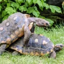 emiliano059440 avatar