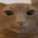 mipi_good_75566 avatar