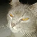 luckinmyvein_26554