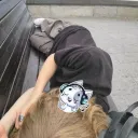 sklovzzz avatar