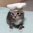 cheftax