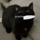 soy_un_catuno avatar